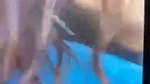 sexy GF handjob and desi blowjob inside car