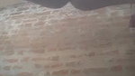 slim Indian wife new sex mms showing her pussy
