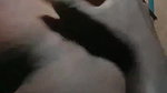 black desi mature aunty sex video with neighbor
