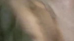black desi mature aunty sex video with neighbor