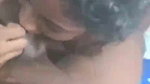 horny wife tasting chocolate dick of husband