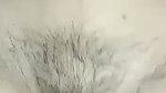 cute girl hairy pussy fucking while on phone call