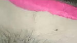 cute girl hairy pussy fucking while on phone call