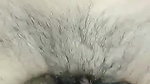 cute girl hairy pussy fucking while on phone call