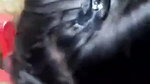 horny village sister sucking dick of cousin
