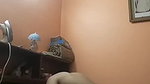 Busty divorced bhabhi sucking dick banged hard Boy friend