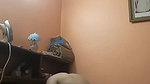 Busty divorced bhabhi sucking dick banged hard Boy friend