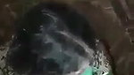 Tamil randi aunty ko group mein pela