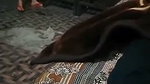 Beautiful Wife Nude Captured By ex boyfriend