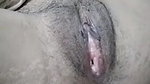 naughty village bhabhi desi fingering viral show