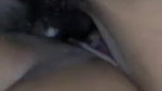 bhabhi pussy fucking by devar Marathi sex video