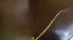 Tamil girl sex riding boyfriend dick with moans