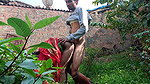 Indian porn village bhabhi outdoor sex video