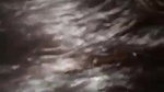 horny Indian girl blowjob to lover viral sex