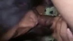 horny Indian girl blowjob to lover viral sex