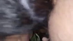 horny Indian girl blowjob to lover viral sex