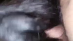 horny Indian girl blowjob to lover viral sex