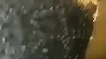 Pakistani sex riding dick GF viral sex with lover