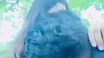 Malayali girl outdoor boob show viral latest MMS