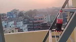 rooftop desi blowjob by a hot wife to secretary
