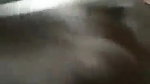 sexiest desi blowjob girl boobs show and oral sex