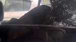 Noida University girl outdoor sex in car