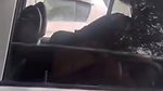 Noida University girl outdoor sex in car