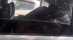 Noida University girl outdoor sex in car