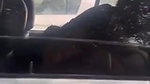 Noida University girl outdoor sex in car