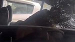 Noida University girl outdoor sex in car