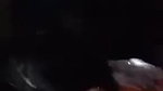 Indian incest village girl blowing big dick