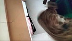 college sex mallu girl nude on phone exposed