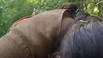 Tamil mature slut outdoor sex with customer