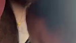 mallu hot wife juicy blowjob to lover in car