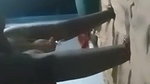 pink bra girl viral doggy Indian fuck MMS