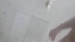 huge boobs college girl nude bath tempting hot