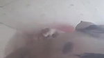 huge boobs college girl nude bath tempting hot