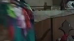 Pakistani sex aunty showing huge melons and pussy