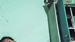 Tamil sex aunty masturbating pussy viral video