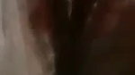 Bengali sex chat girlfriend nude pussy show