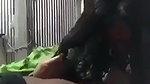 village wife Bengali sex blowjob to husband