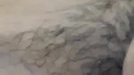 Indian girl nude fingering hairy pussy viral MMS
