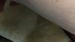 chubby girl sucking dick and getting fucked