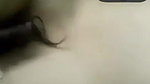 Bangladesi sex girlfriend huge melons displaying