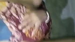 neighbor bhabhi ki chudai village sex scandal
