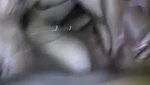 big boobs Indian model fucking xxx viral video