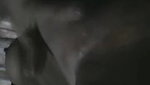 big boobs Indian model fucking xxx viral video
