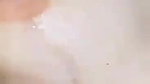 viral virgin girlfriend xxx sex video with lover