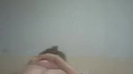 hot Pashto couple home sex leaked video MMS