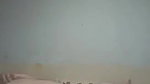 hot Pashto couple home sex leaked video MMS
